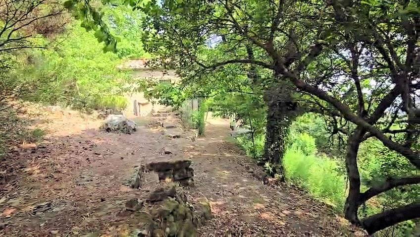 Rustico con ampio terreno e vista panoramica in vendita a Roccastrada, Roccatederighi