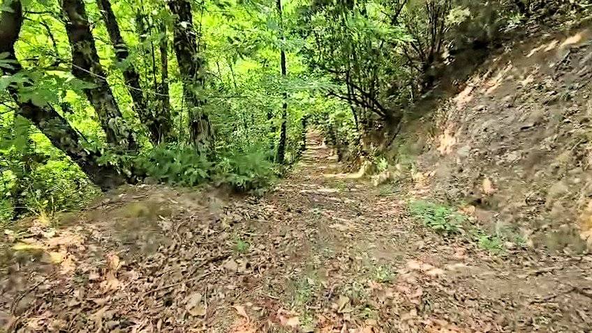 Rustico con ampio terreno e vista panoramica in vendita a Roccastrada, Roccatederighi