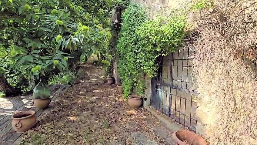 Rustico con ampio terreno e vista panoramica in vendita a Roccastrada, Roccatederighi
