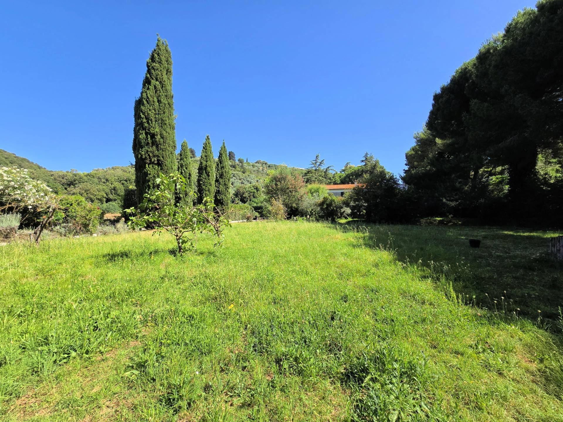Casa indipendente in stile rustico Toscano con terreno in vendita a Campiglia Marittima, Venturina