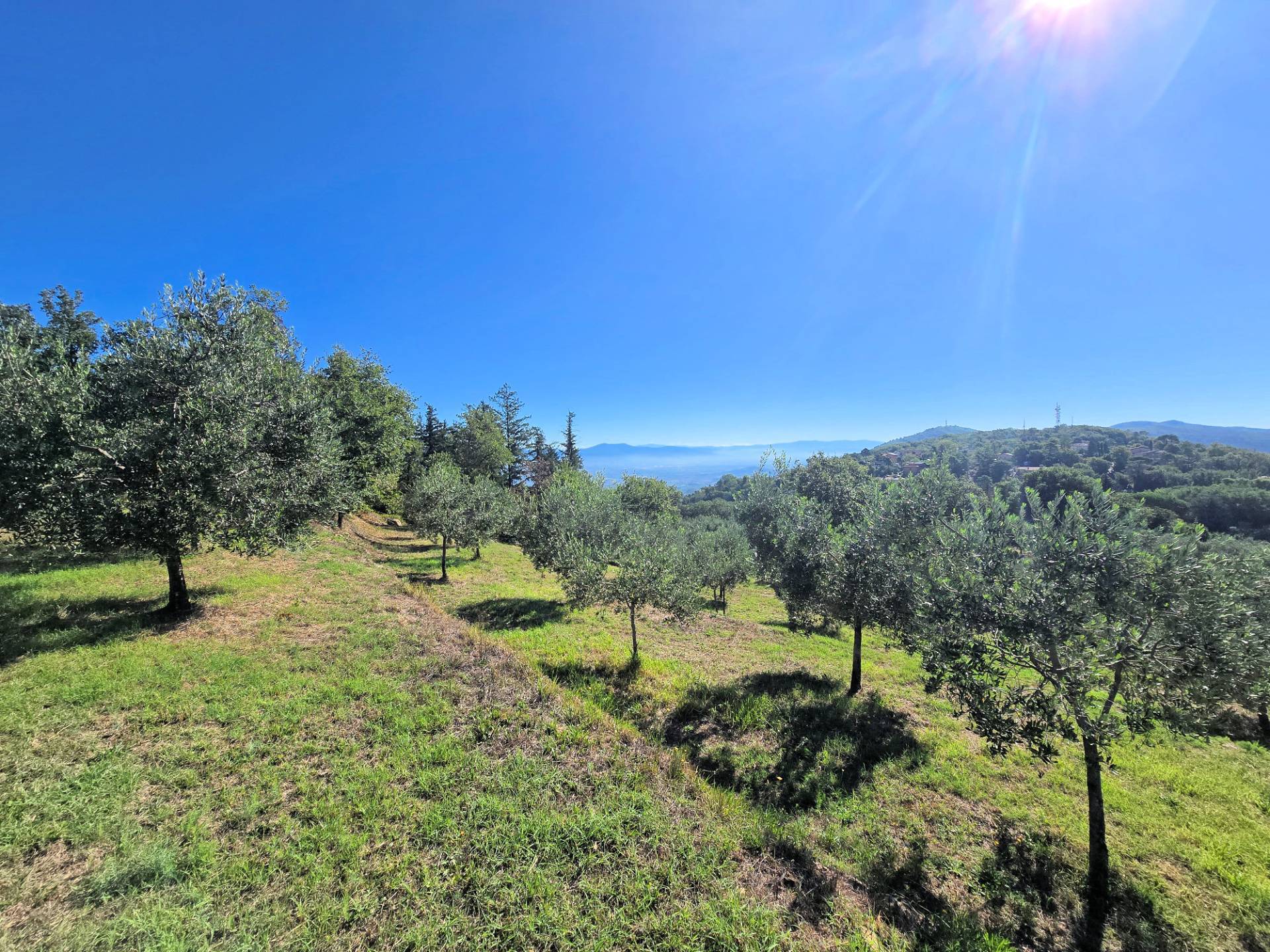 Rustico con ampio terreno e vista panoramica in vendita a Larciano