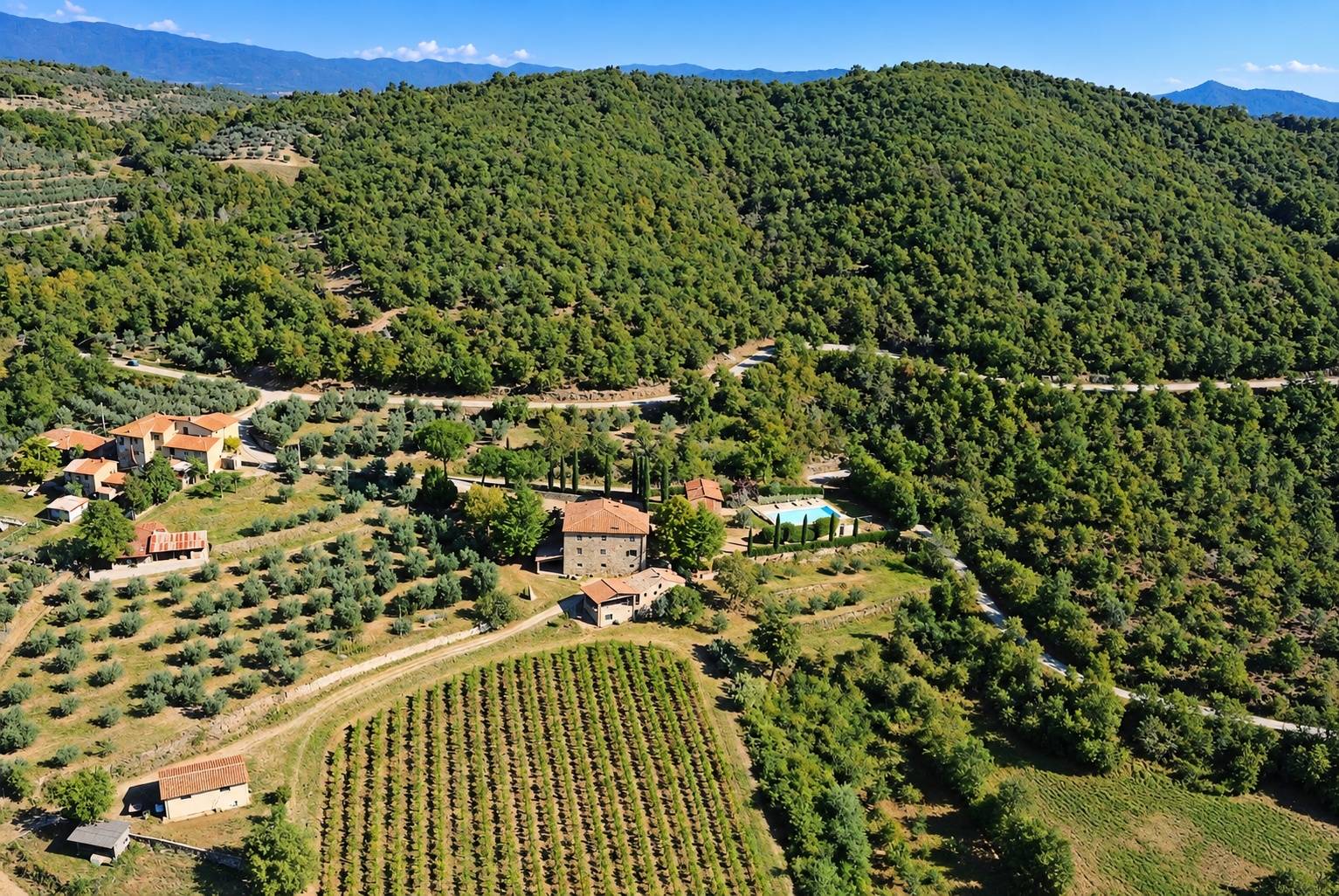 Complesso colonico in posizione panoramica con piscina e ampio terreno in vendita a Bucine