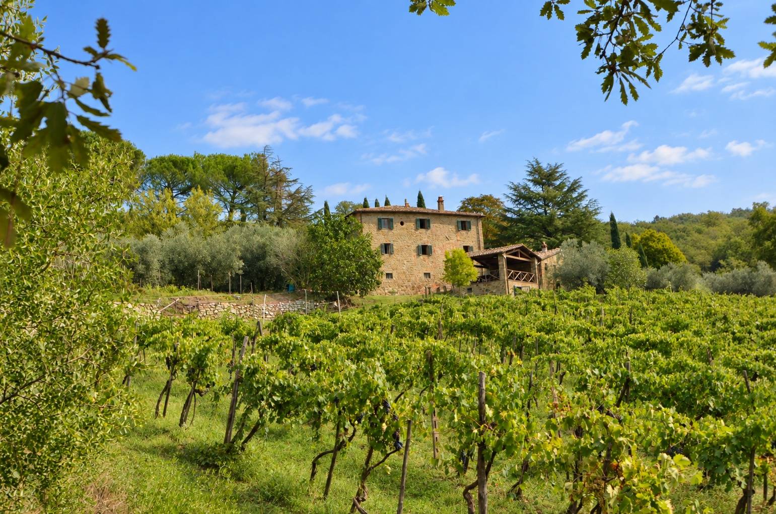 Complesso colonico in posizione panoramica con piscina e ampio terreno in vendita a Bucine