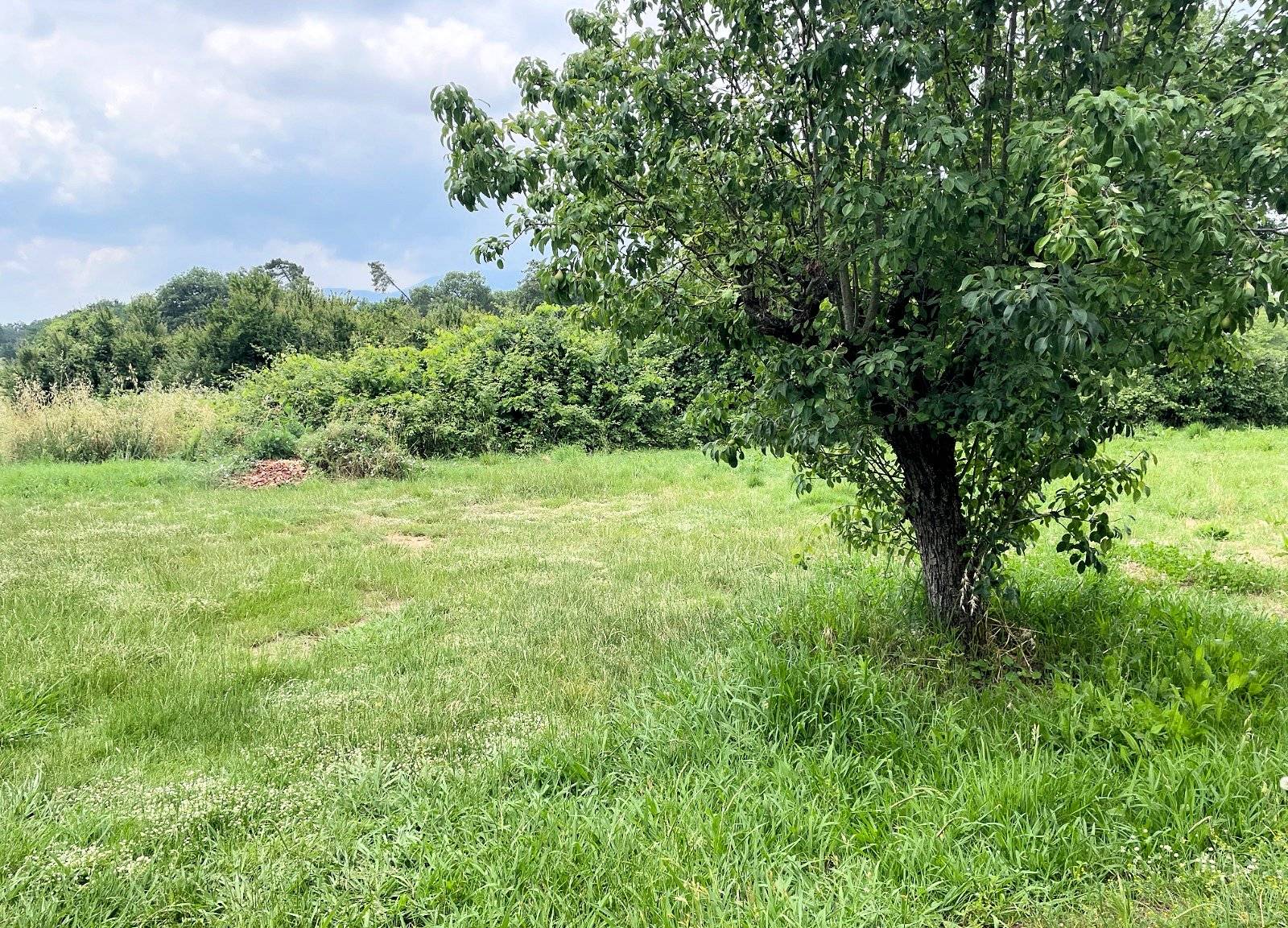 Villa singola con ampio giardino in vendita a Altopascio