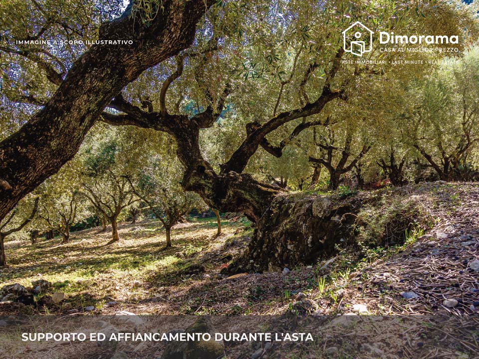 Terreno in vendita in frazione ricavoli - via morandi, Gambassi Terme