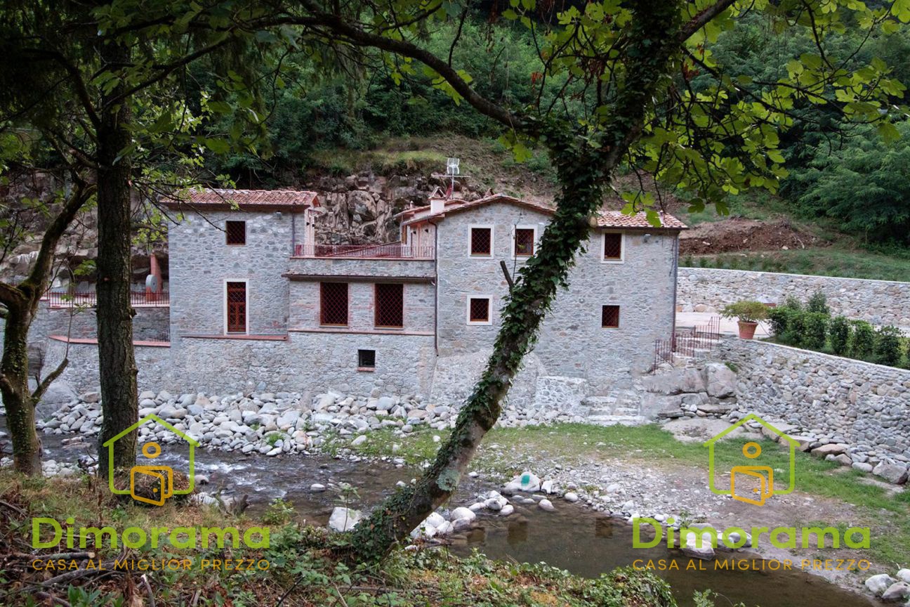 Attivit commerciale con giardino in strada provinciale, Pescia