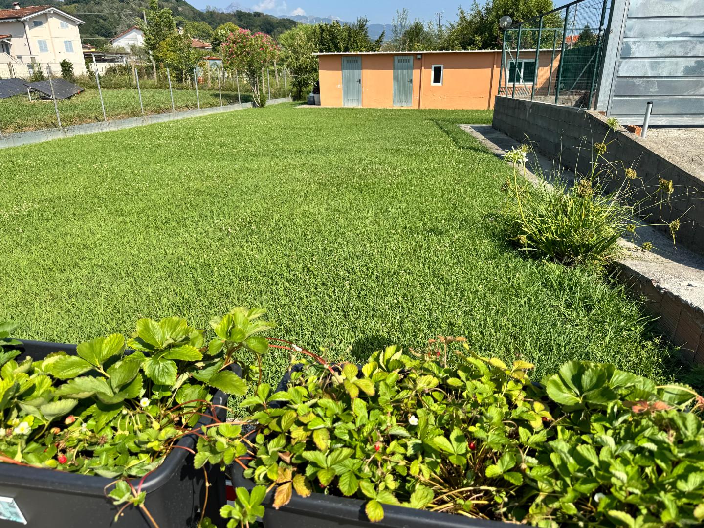 Casa indipendente con giardino, Carrara fossone