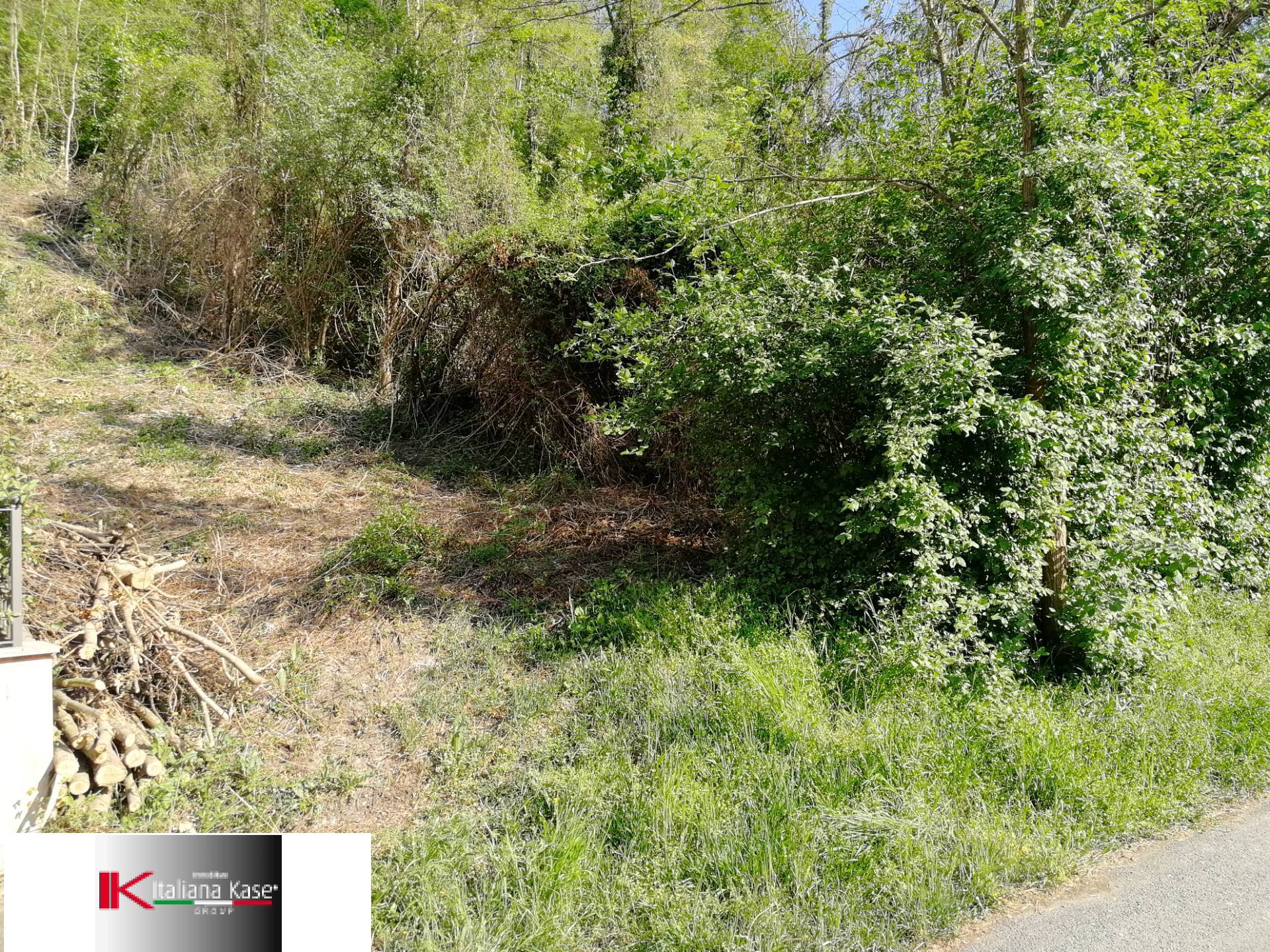 immagine annuncio 5 di 6