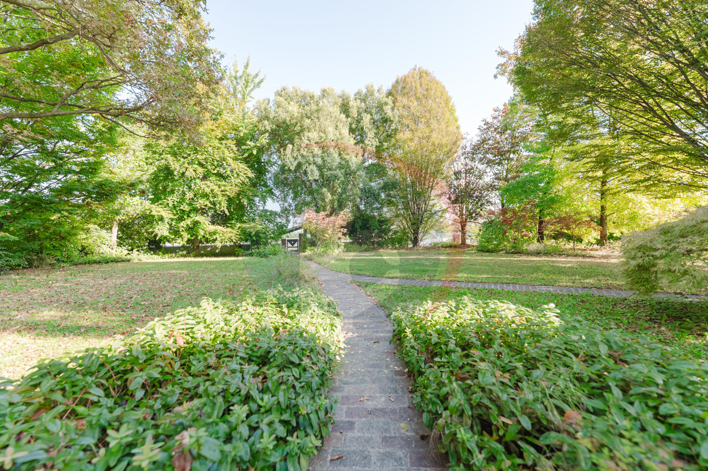 Villa con giardino a Campodarsego