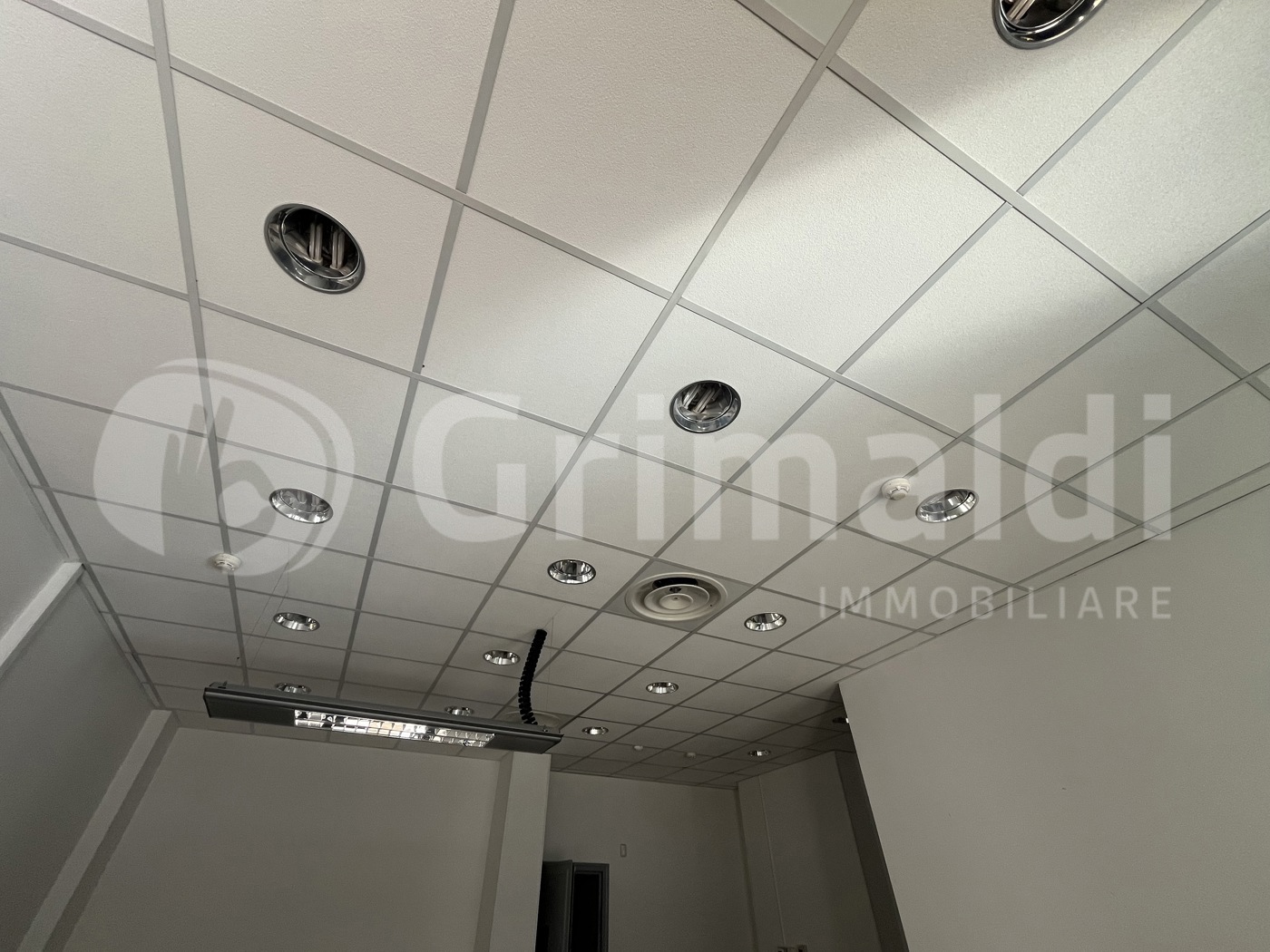 Negozio in affitto a Padova