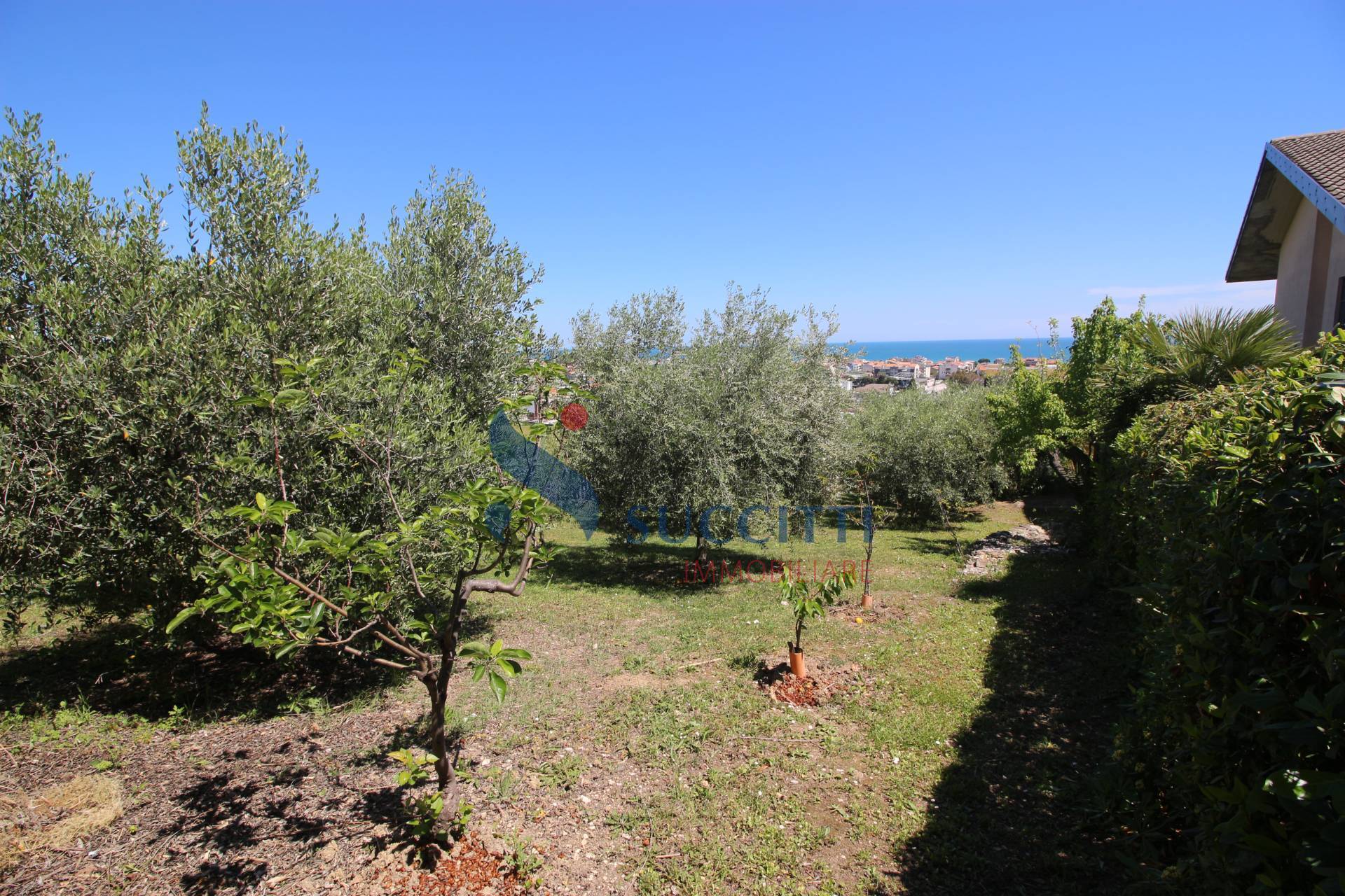 Casa singola in vendita a Tortoreto, Tortoreto Alta