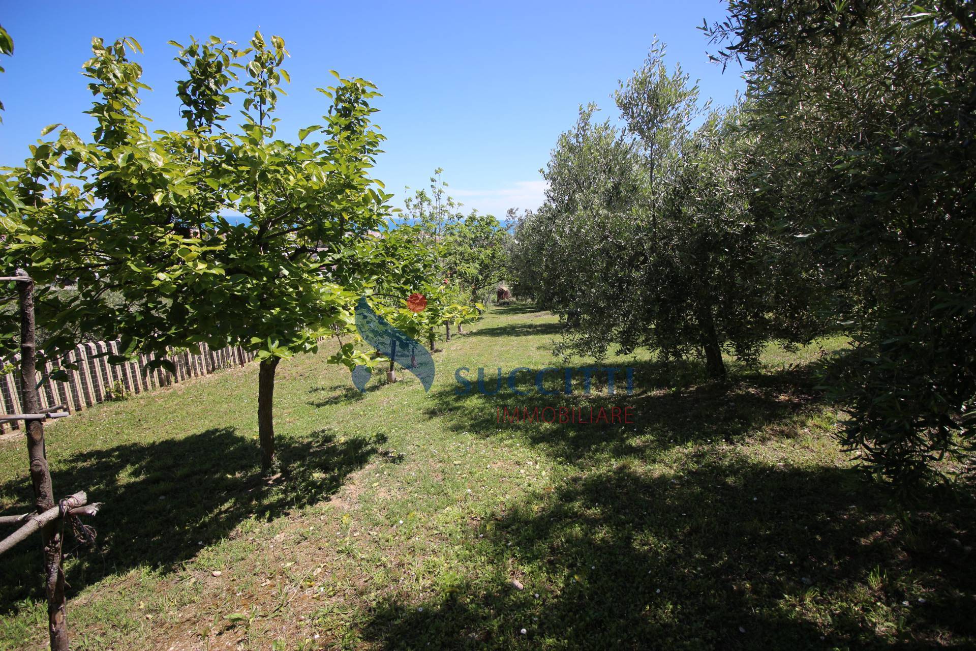 Casa singola in vendita a Tortoreto, Tortoreto Alta
