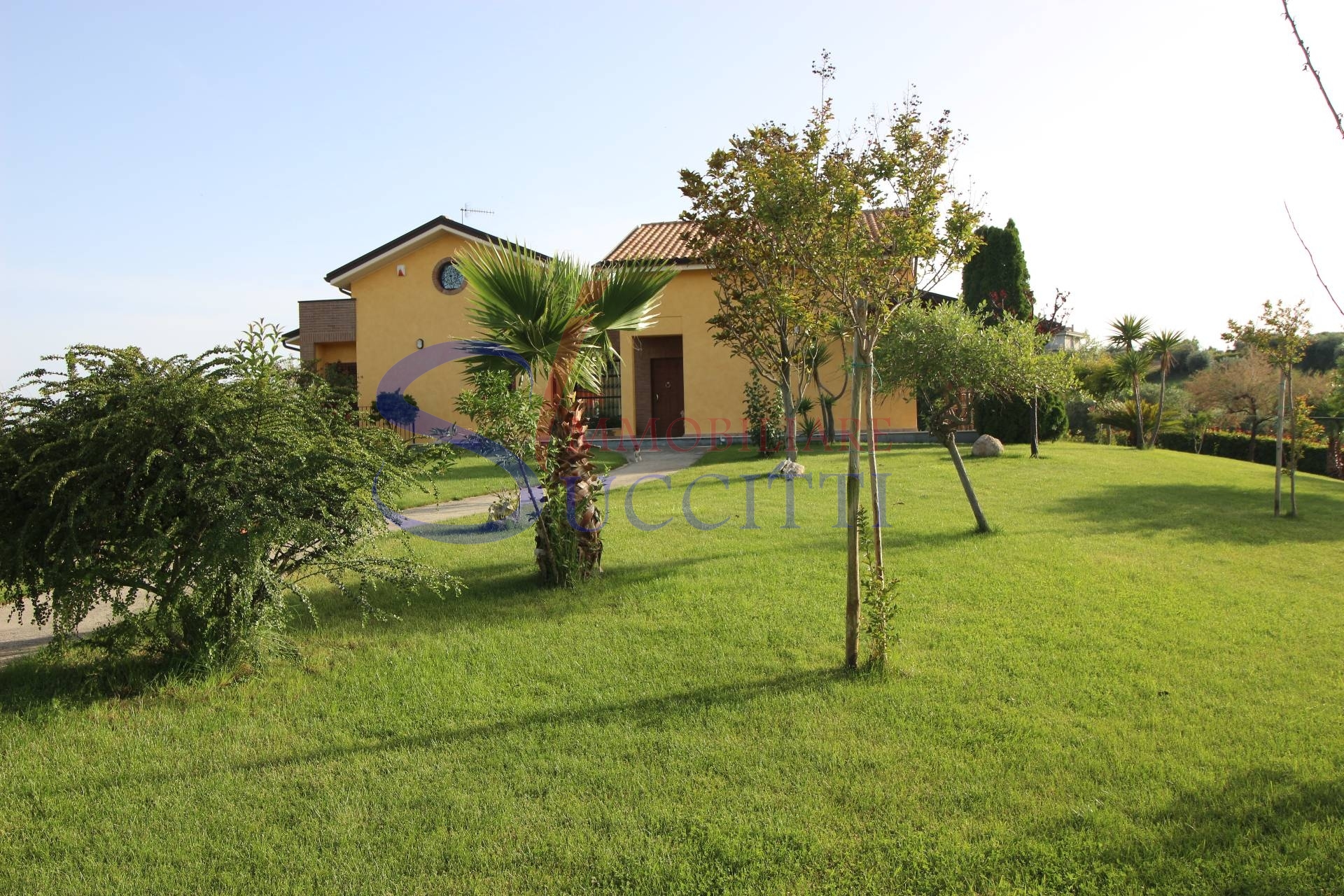 immagine annuncio 2 di 6