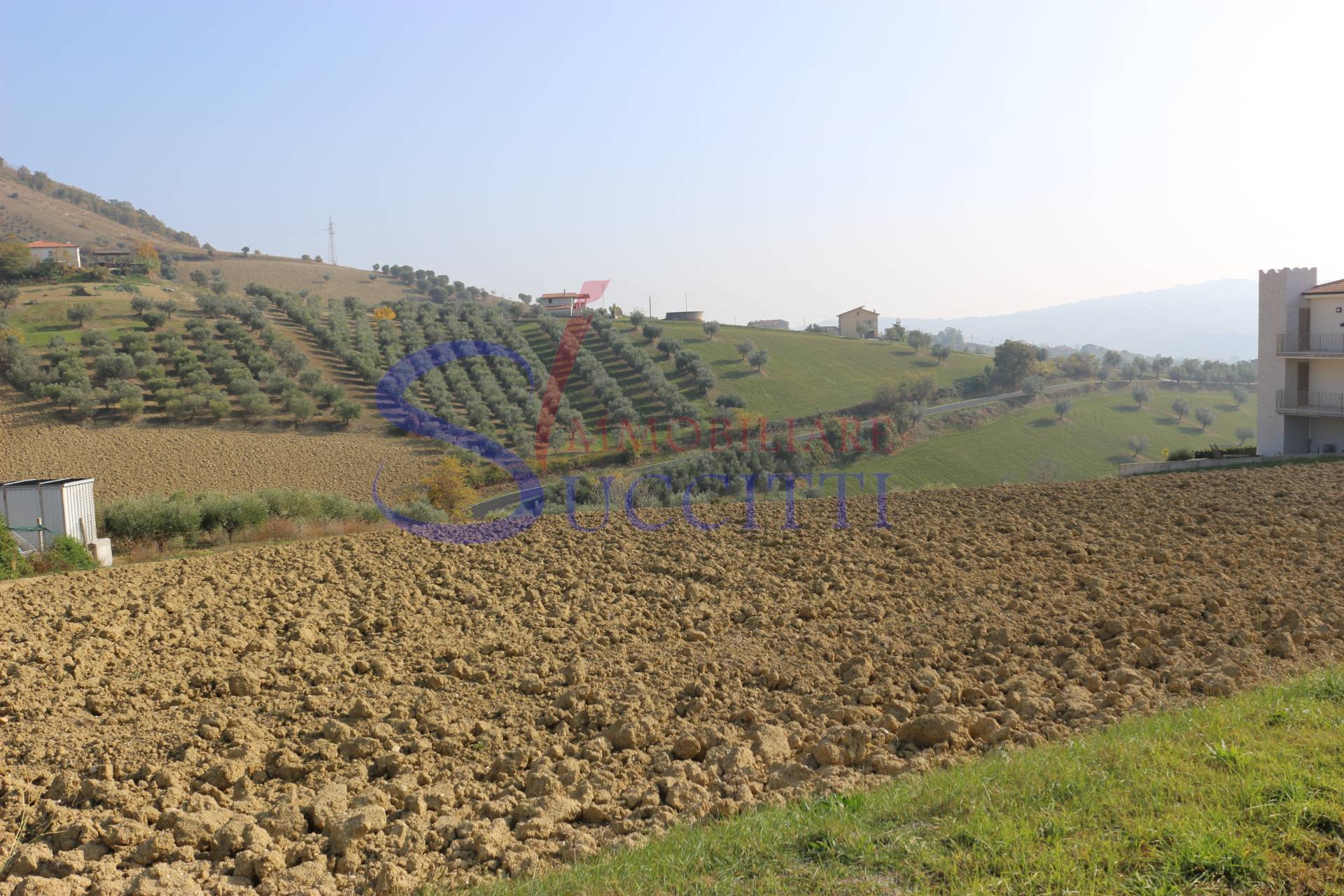 Terreno Agricolo in vendita a Tortoreto, Tortoreto Alta