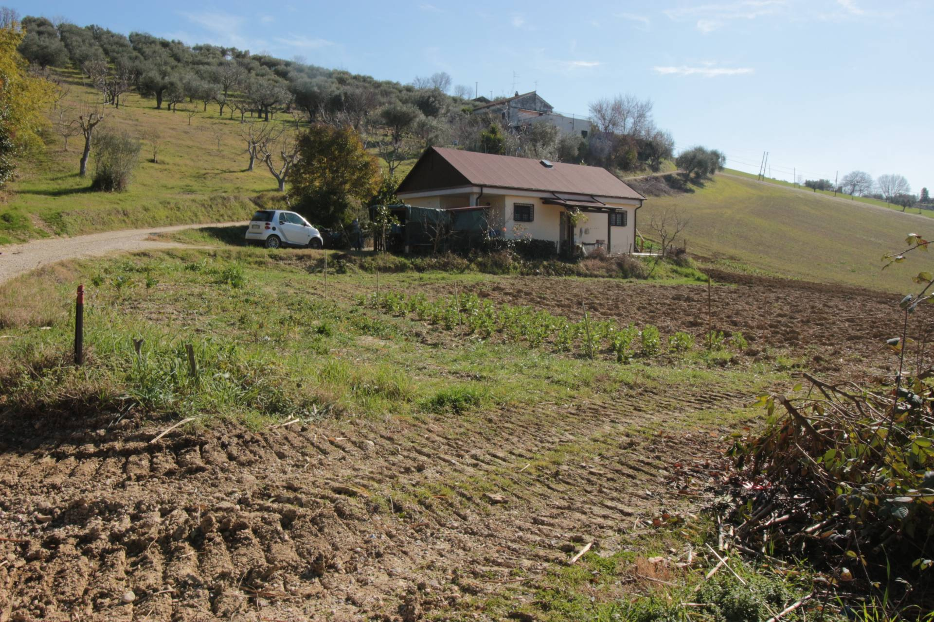 Terreno Agricolo in vendita a Tortoreto, Tortoreto Alta
