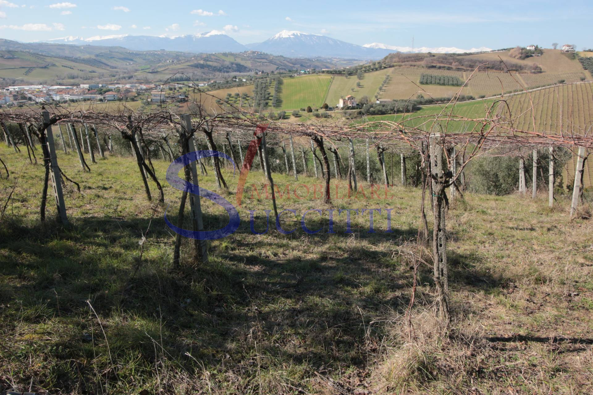 Terreno Agricolo in vendita a Tortoreto, Tortoreto Alta