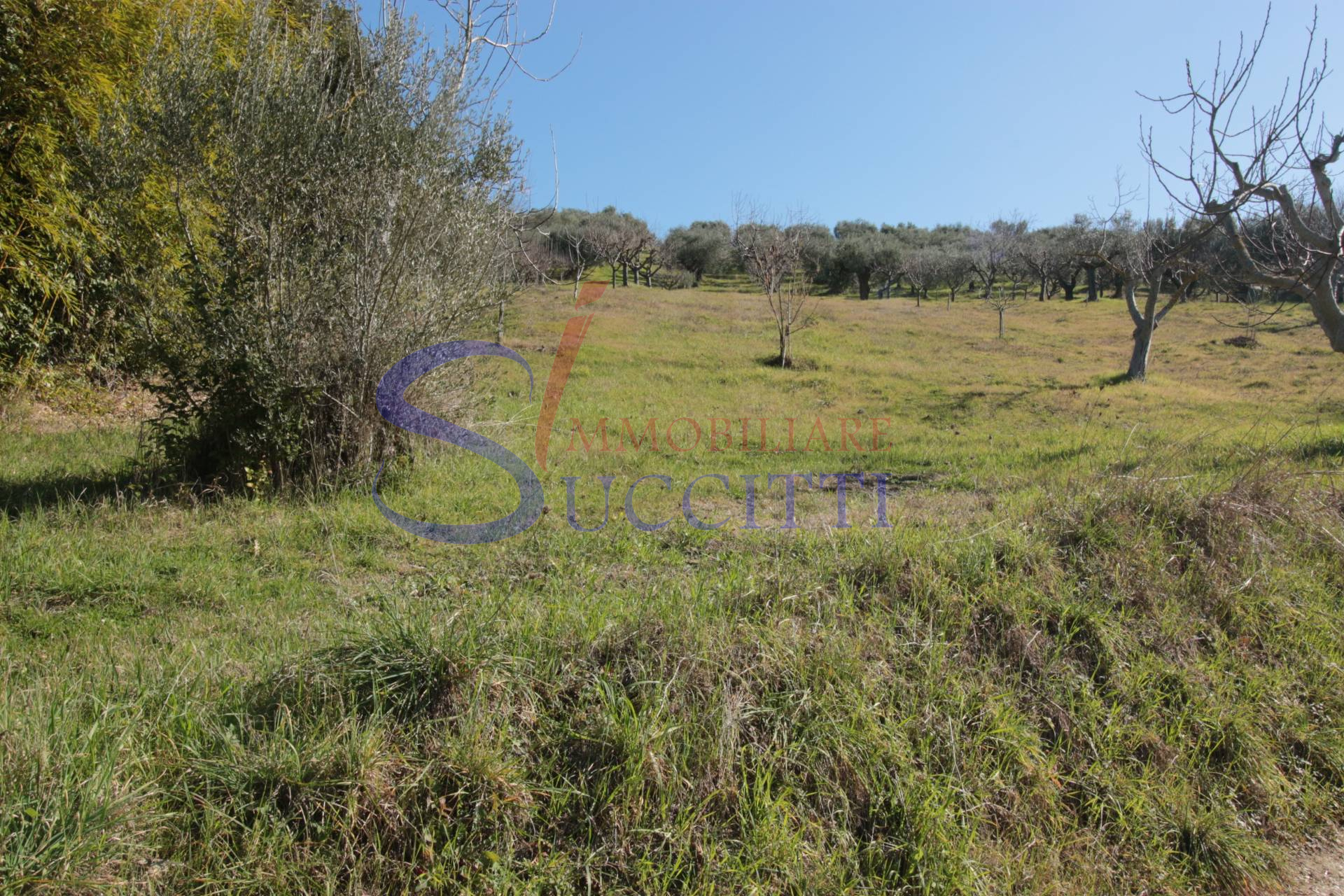 Terreno Agricolo in vendita a Tortoreto, Tortoreto Alta