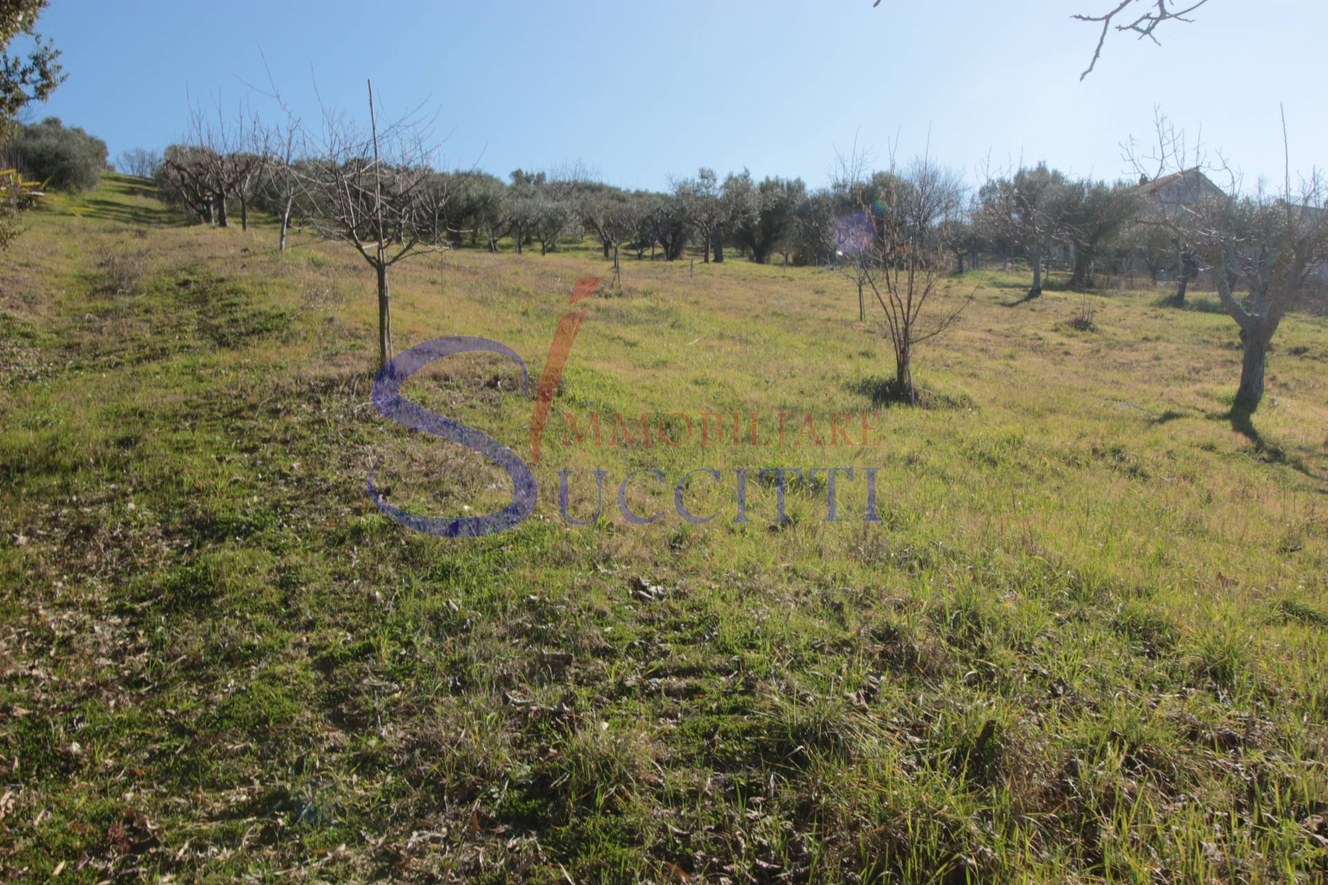 Terreno Agricolo in vendita a Tortoreto, Tortoreto Alta