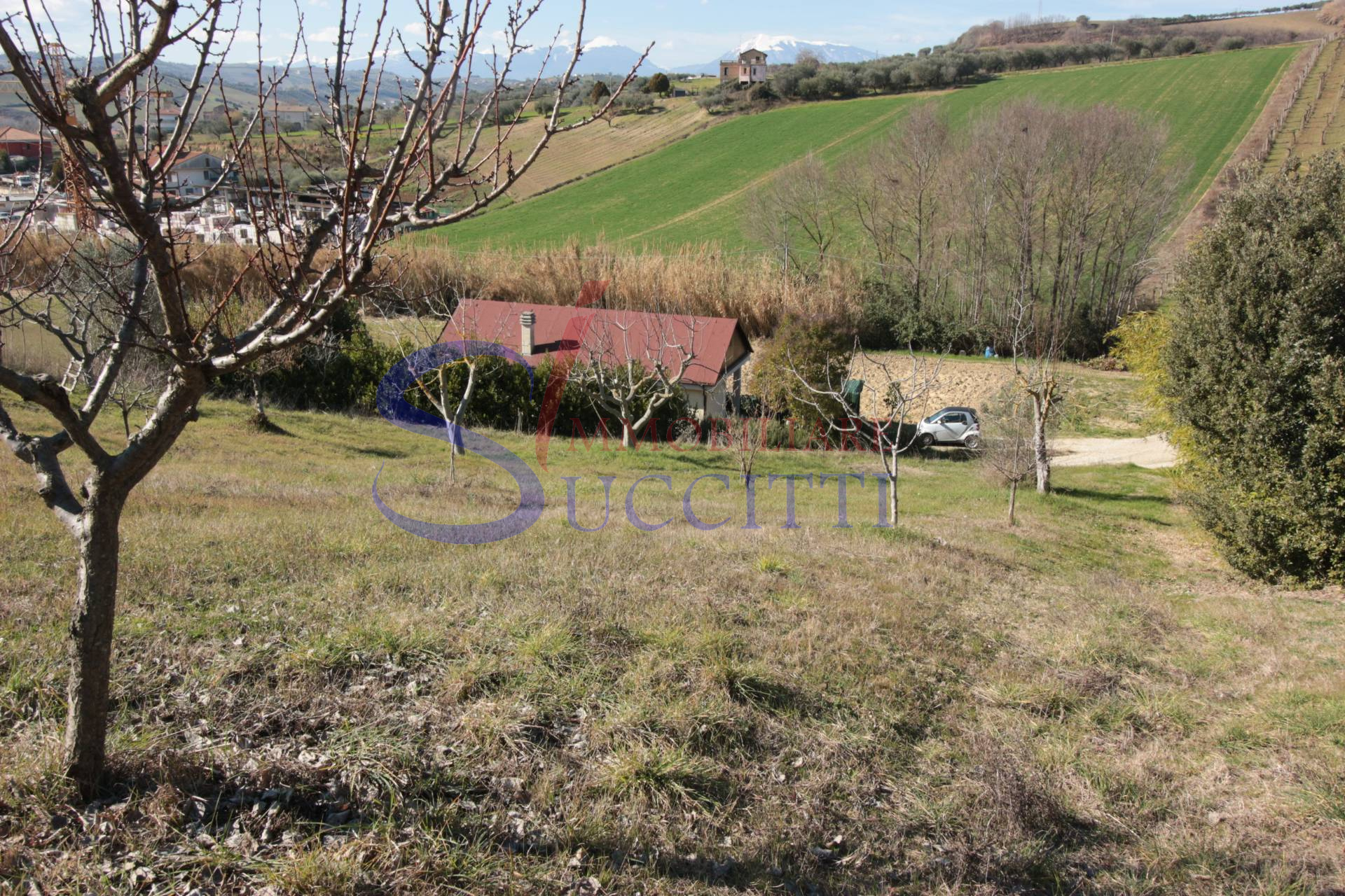 Terreno Agricolo in vendita a Tortoreto, Tortoreto Alta