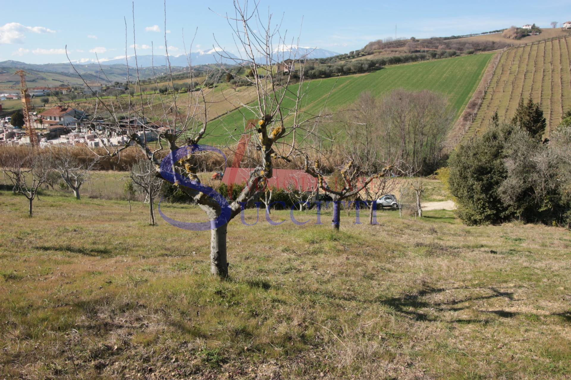 Terreno Agricolo in vendita a Tortoreto, Tortoreto Alta