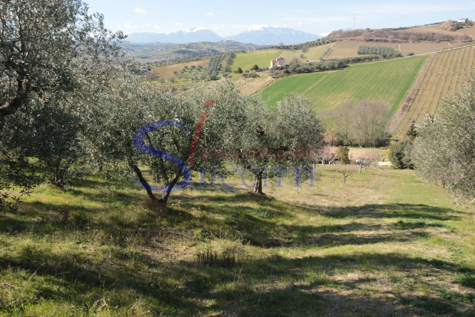 Terreno Agricolo in vendita a Tortoreto, Tortoreto Alta