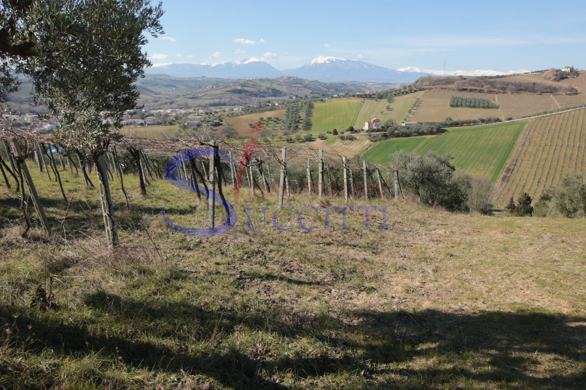 Terreno Agricolo in vendita a Tortoreto, Tortoreto Alta