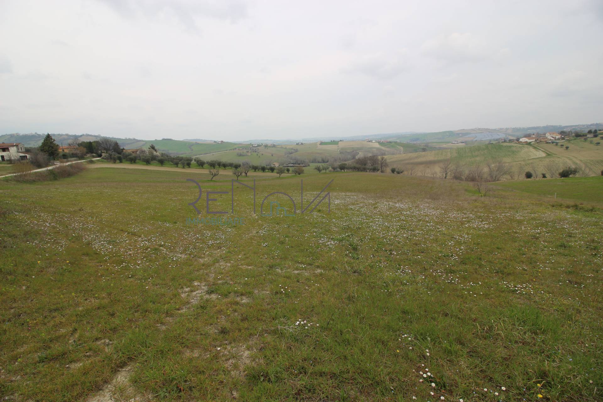 Casa singola in vendita a Bellante