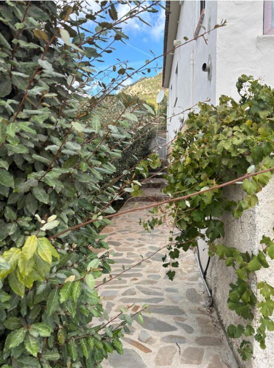 Villa con giardino a Olbia