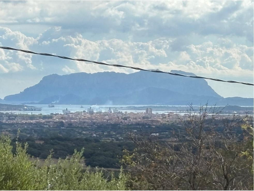 Villa con giardino a Olbia