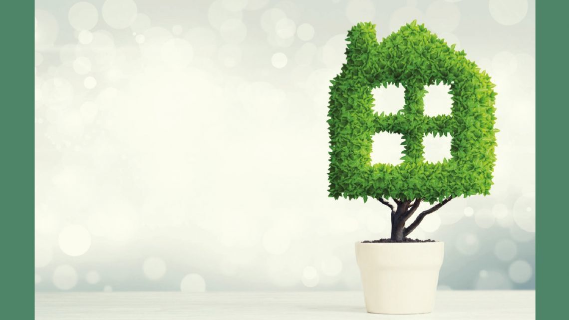 immagine annuncio 3 di 6