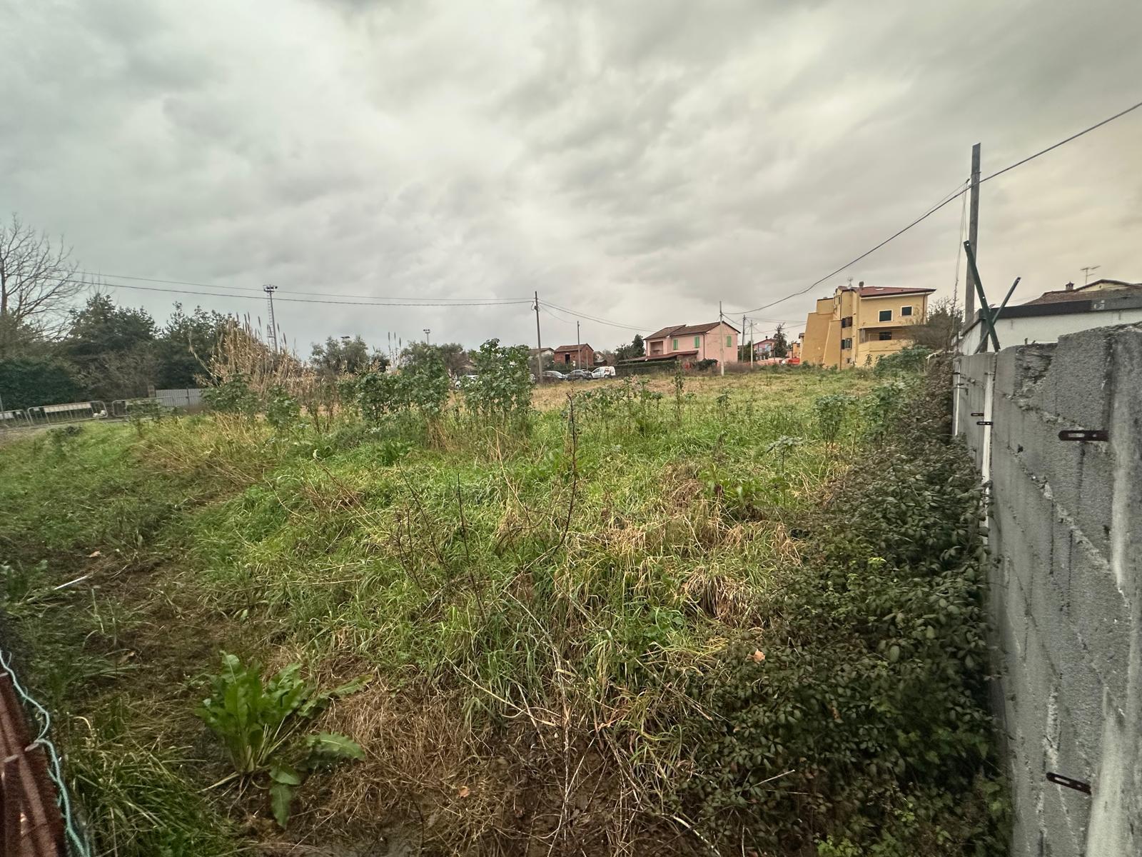 immagine annuncio 2 di 6