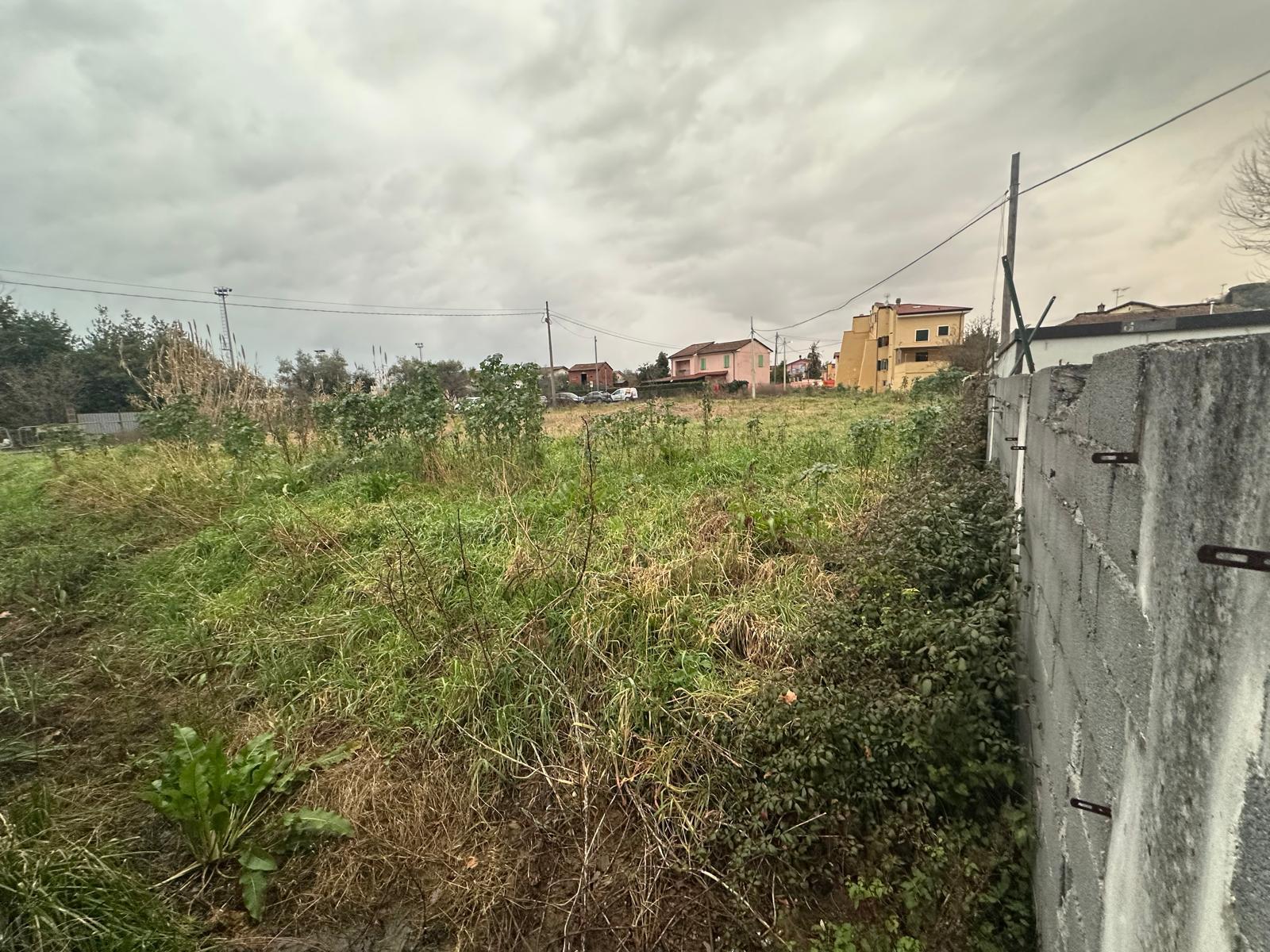 immagine annuncio 3 di 6