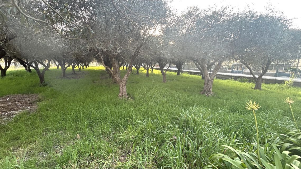 Appartamento con giardino a Sarzana