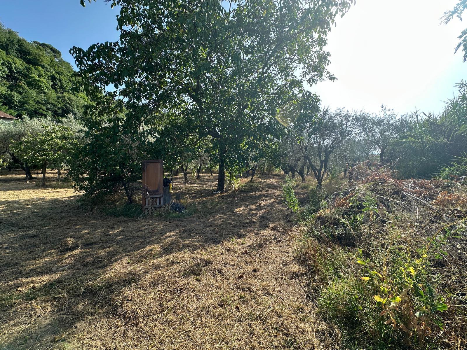 Terreno Edificabile in vendita a Ortonovo