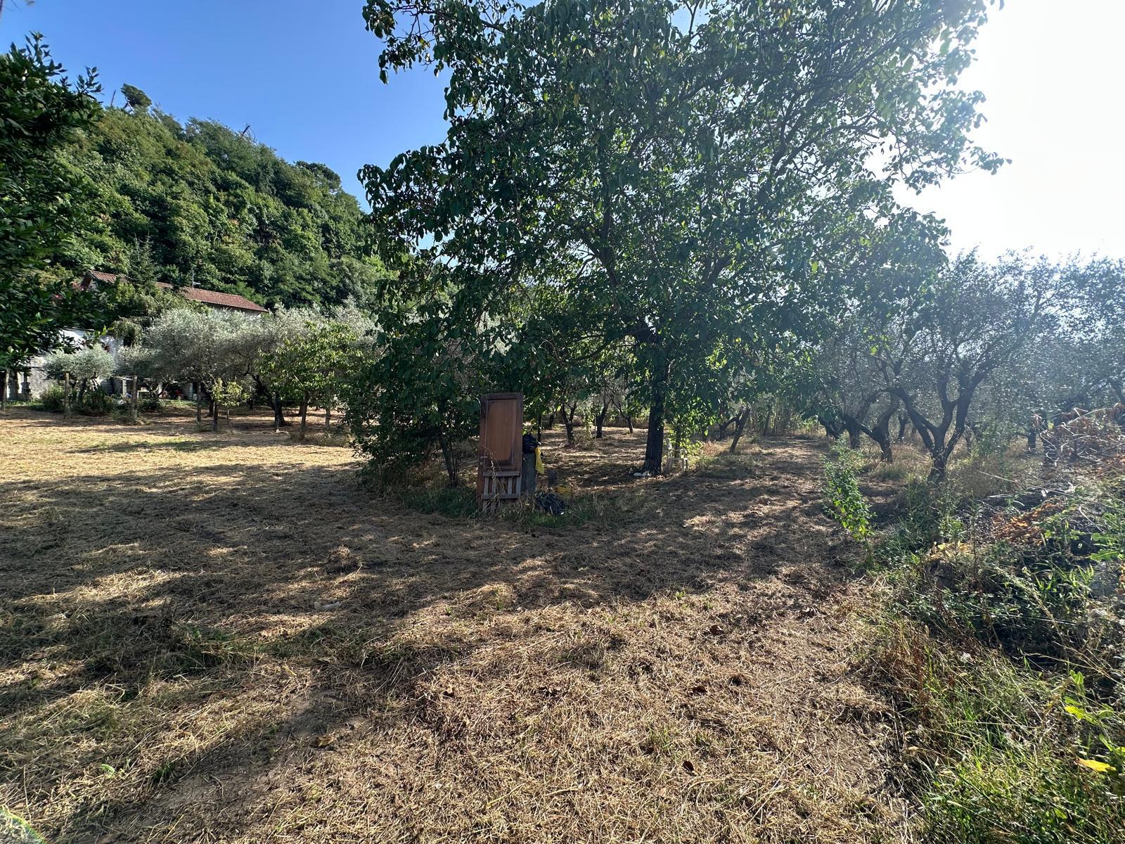 Terreno Edificabile in vendita a Ortonovo