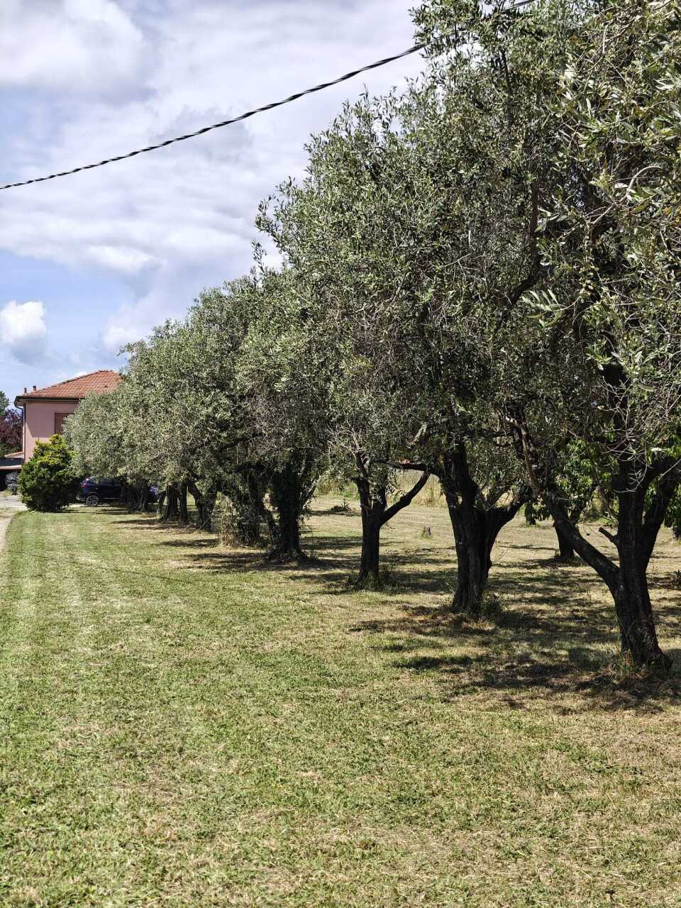 Casa indipendente con giardino, Sarzana san lazzaro