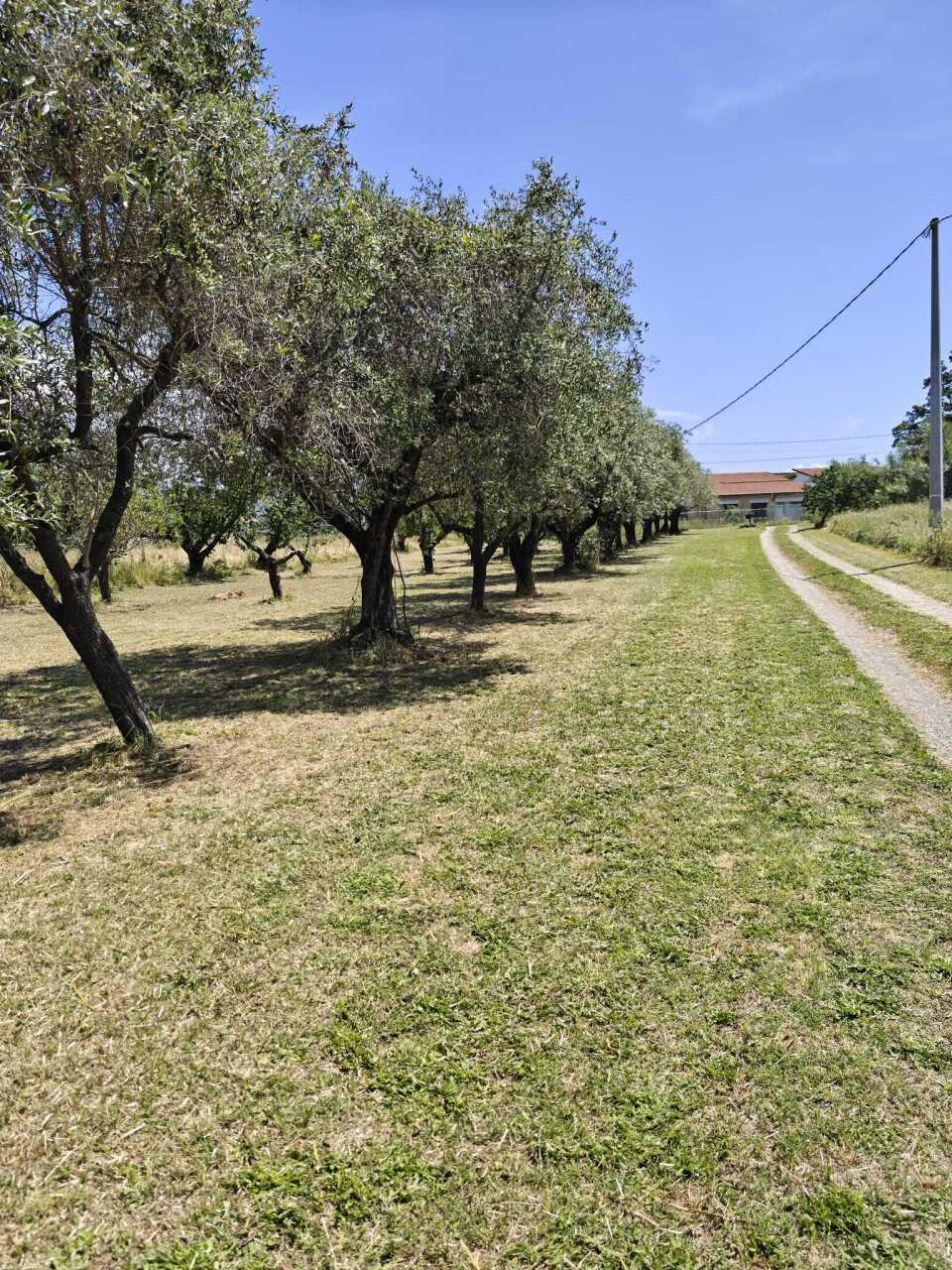 Casa indipendente con giardino, Sarzana san lazzaro