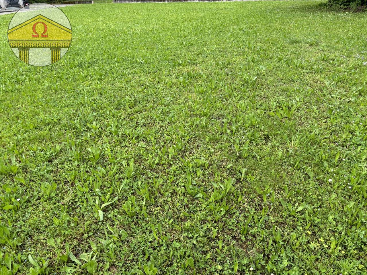 Terreno in vendita, Tarzo corbanese