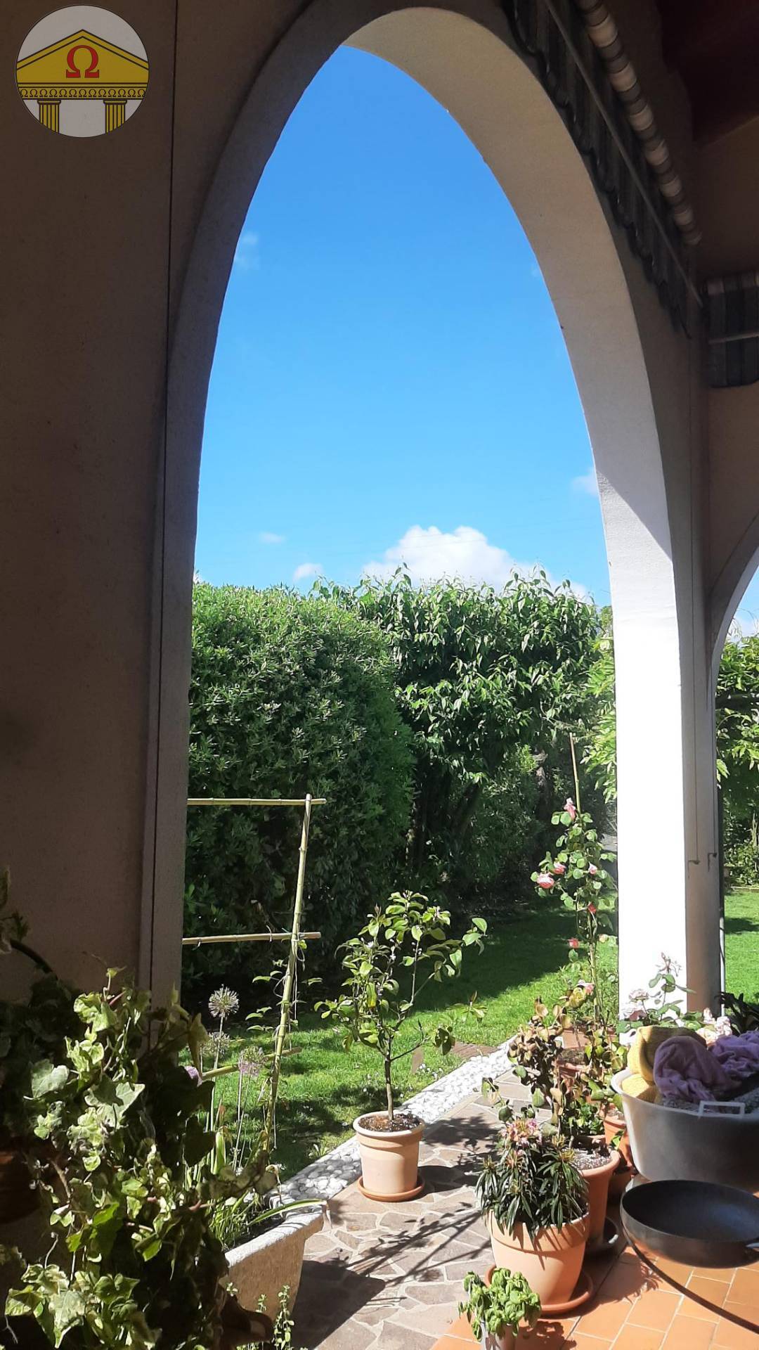 immagine annuncio 2 di 6