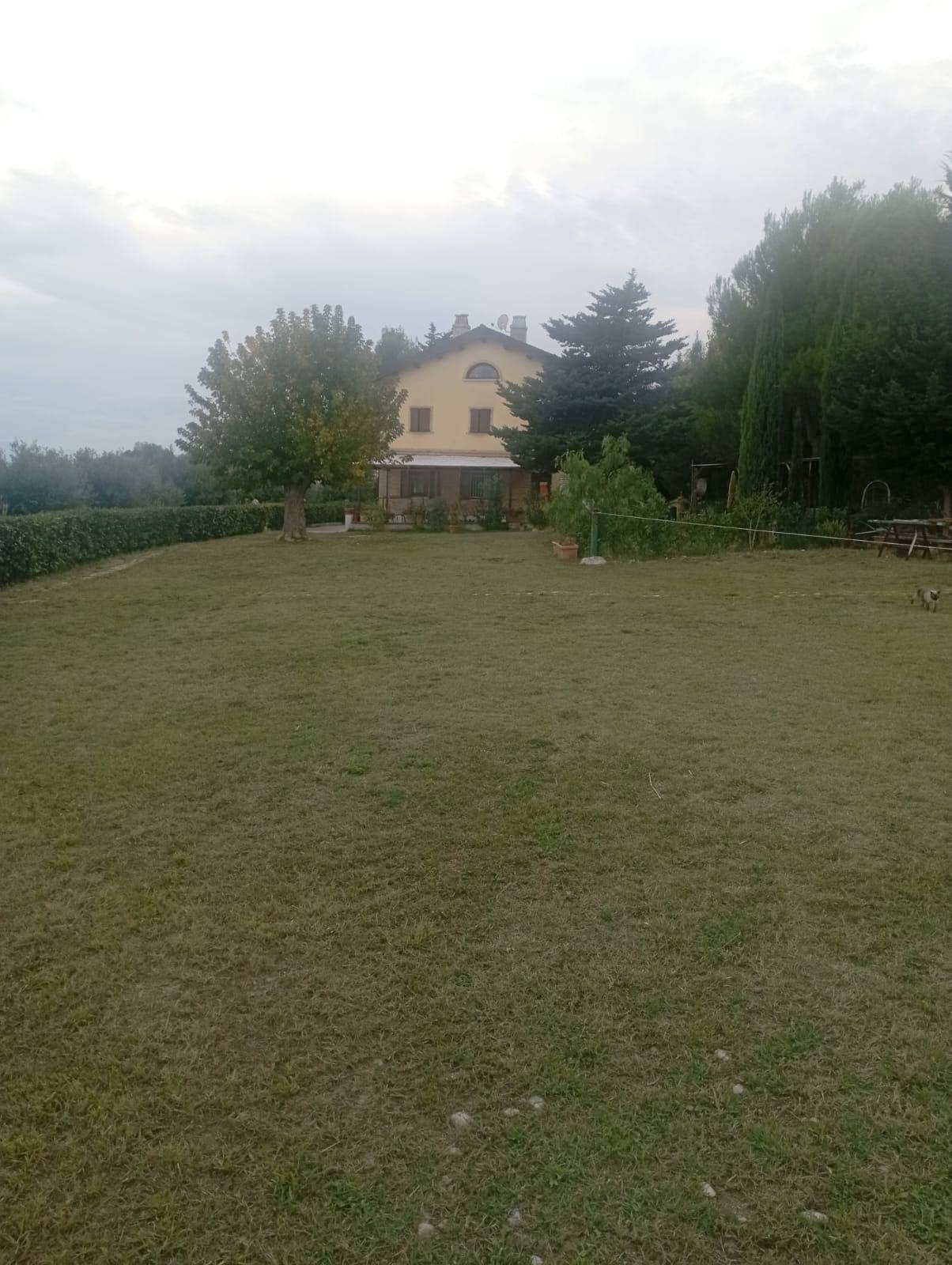 Appartamento in vendita a Ripatransone