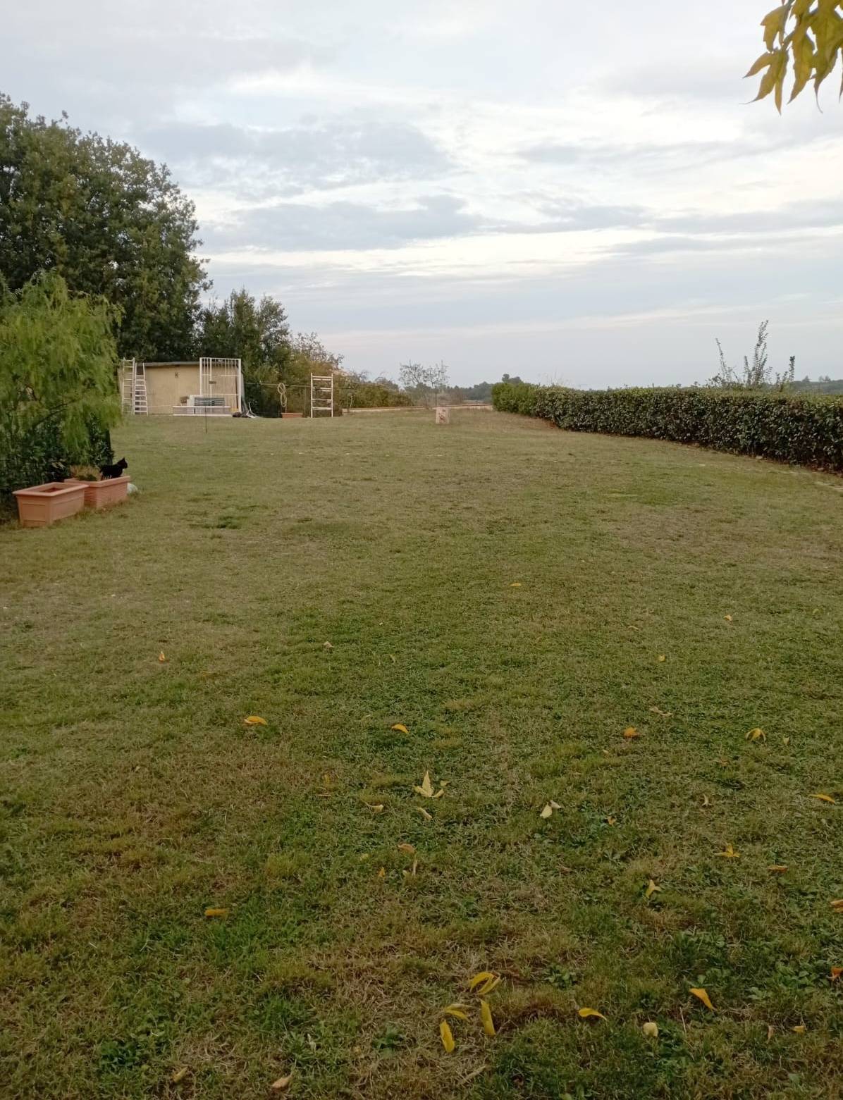 Appartamento in vendita a Ripatransone