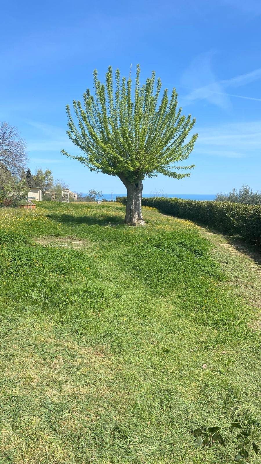 Appartamento in vendita a Ripatransone