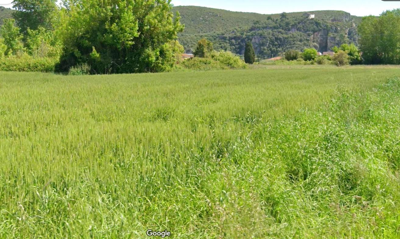 Terreno Agricolo in vendita, Vecchiano migliarino