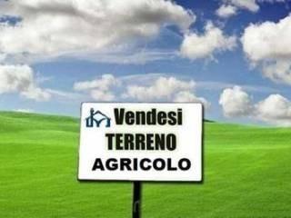 Terreno Agricolo in vendita, San Giuliano Terme pontasserchio