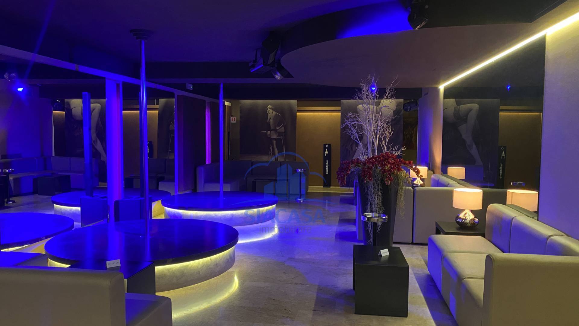 Attivit commerciale in vendita a Dalmine