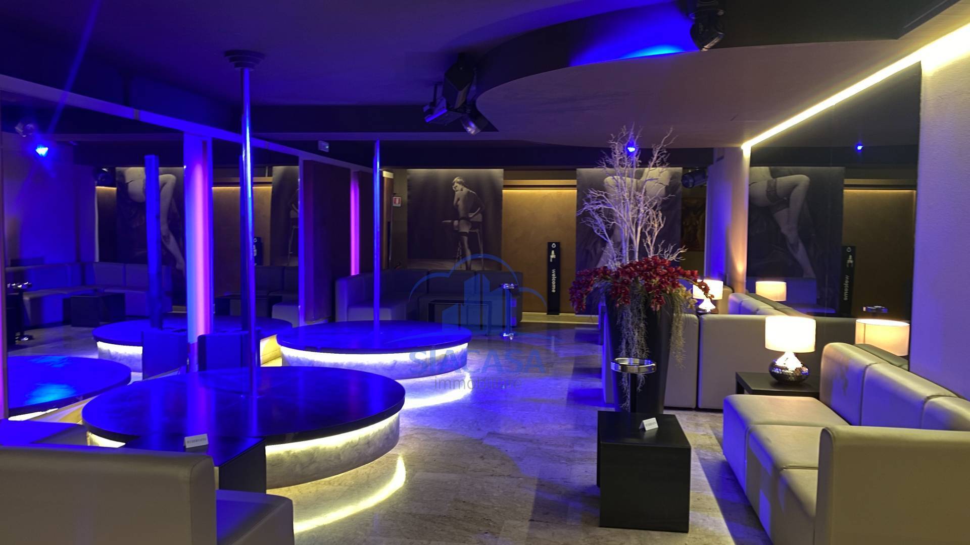 Attivit commerciale in vendita a Dalmine