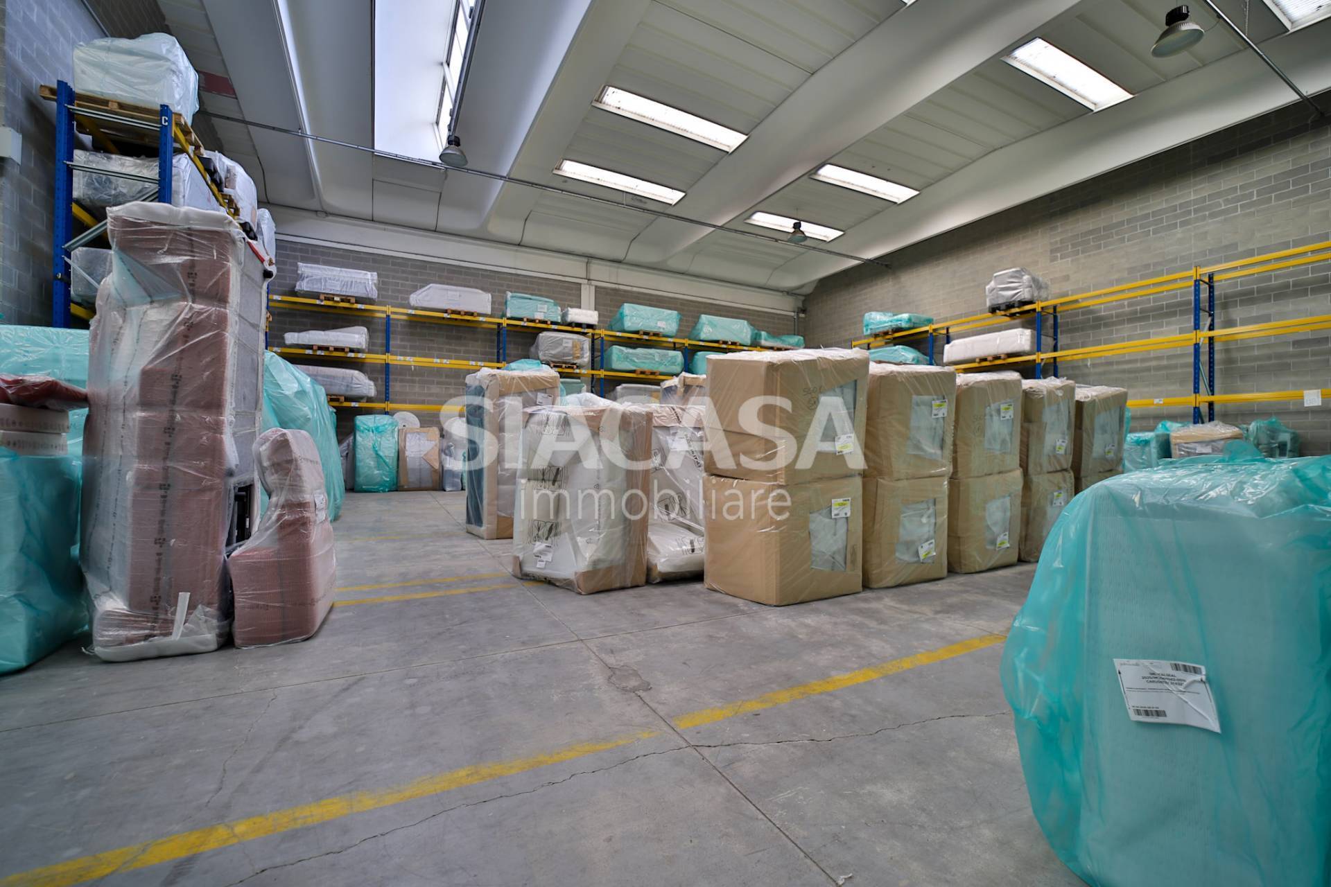 immagine annuncio 3 di 10