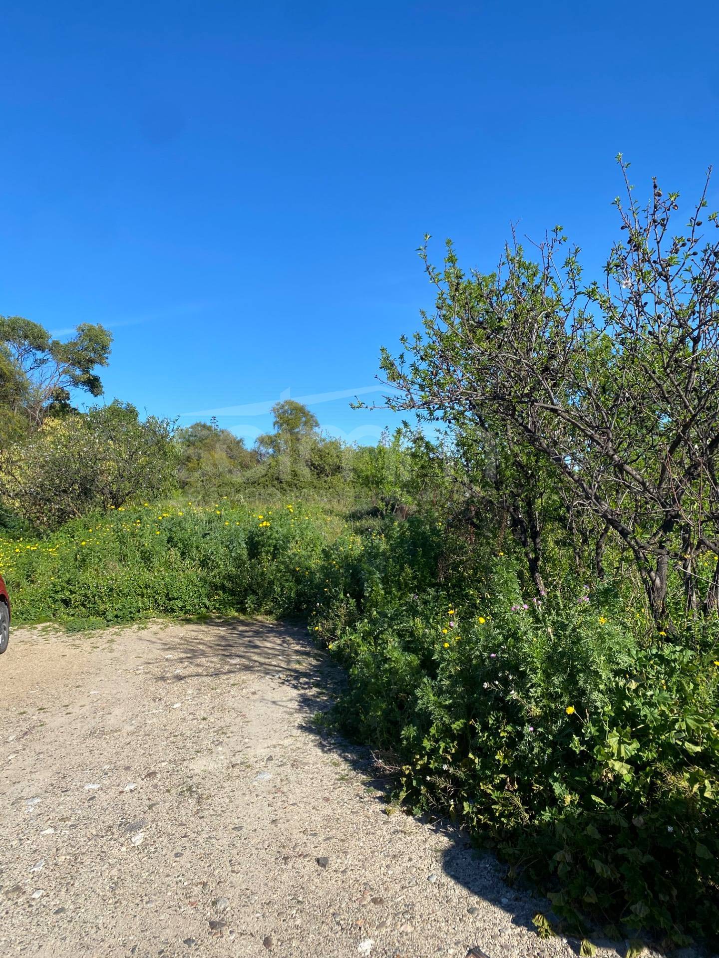 Terreno Edificabile in vendita a Quartu Sant'Elena