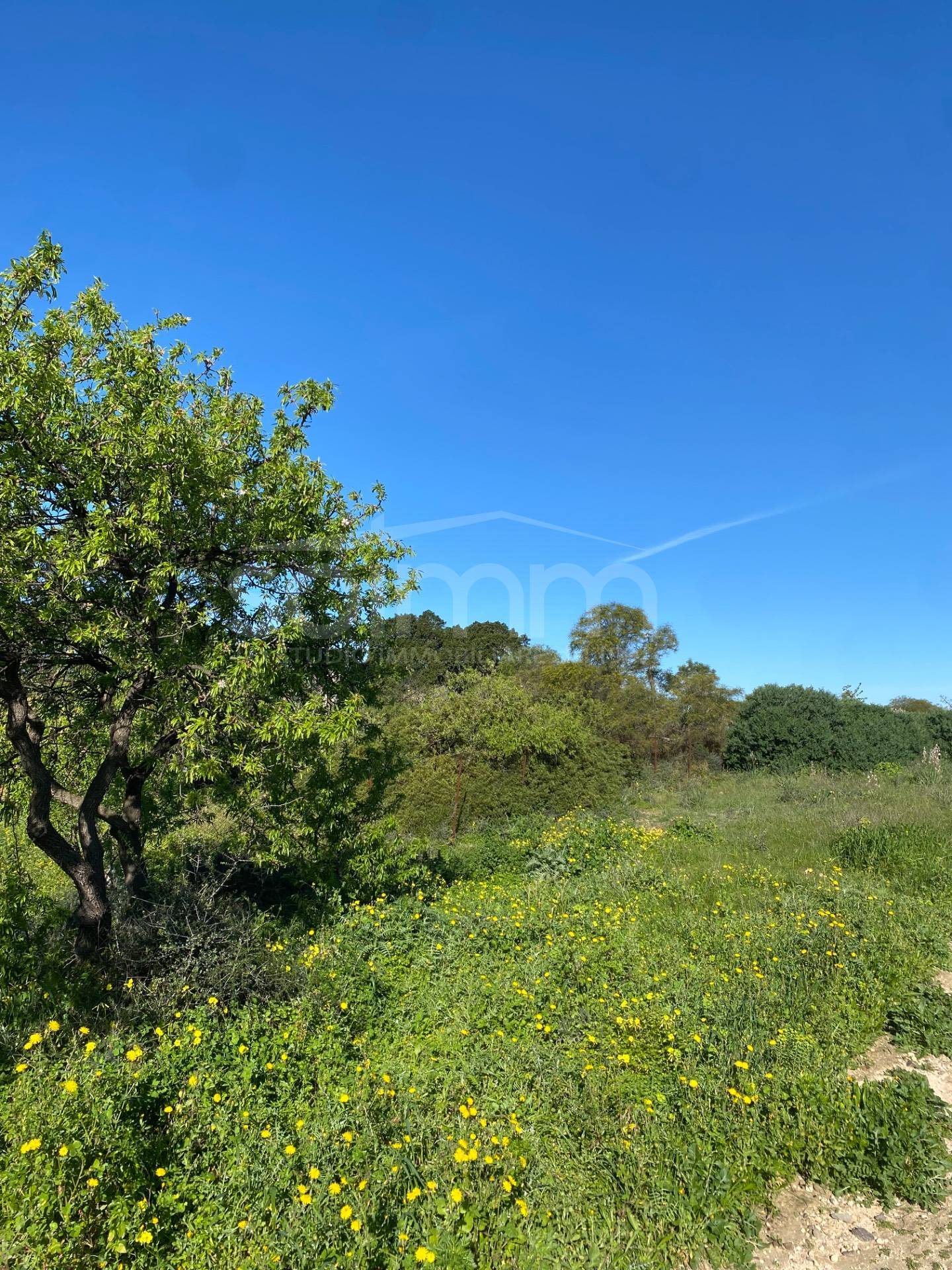 Terreno Edificabile in vendita a Quartu Sant'Elena