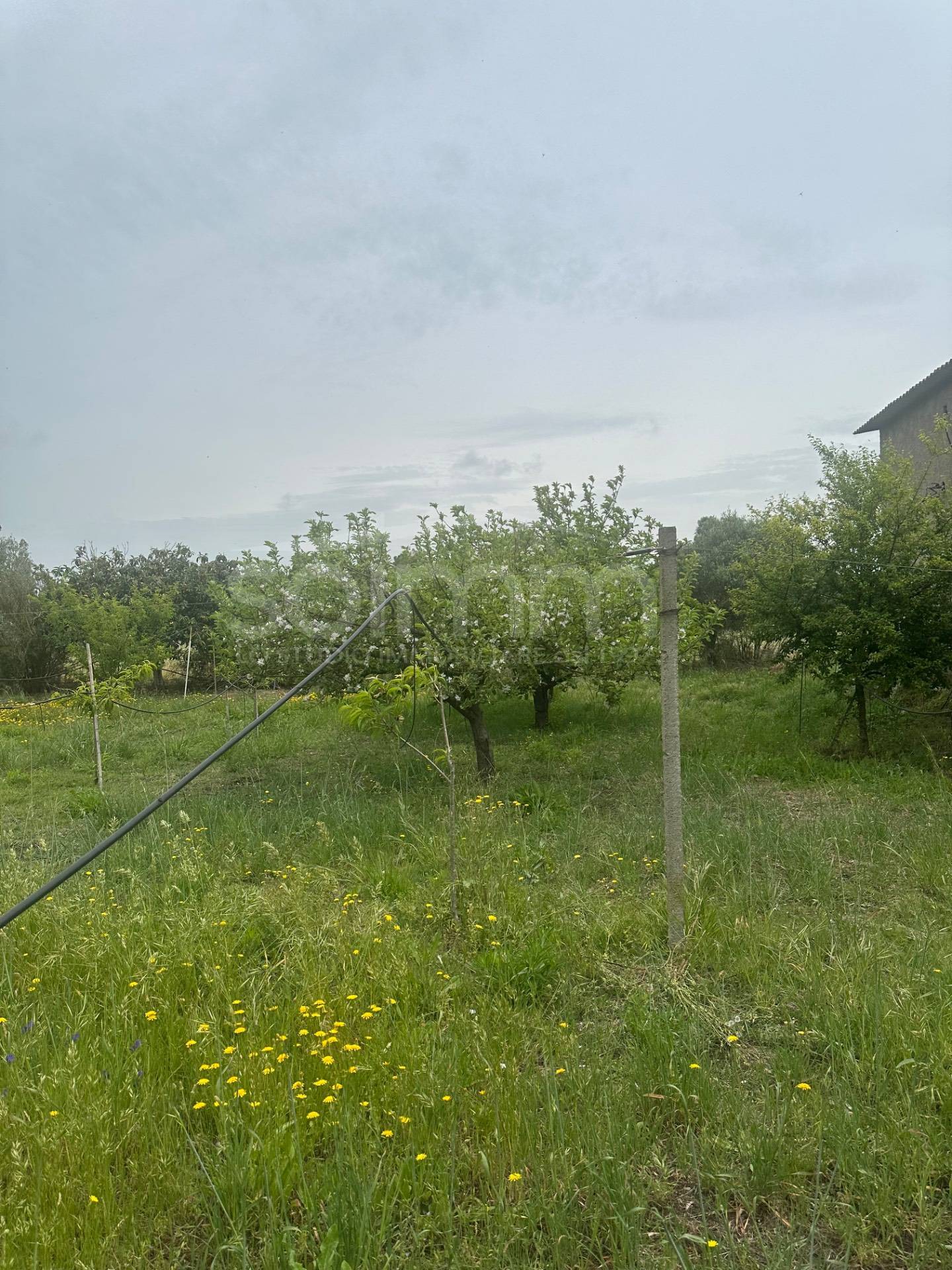Casa singola in vendita a San Sperate